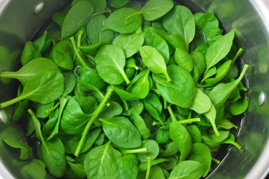 Temps de cuisson épinards frais à l’eau : Le secret pour ne pas perdre leurs nutriments
