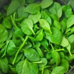 Temps de cuisson épinards frais à l’eau : Le secret pour ne pas perdre leurs nutriments