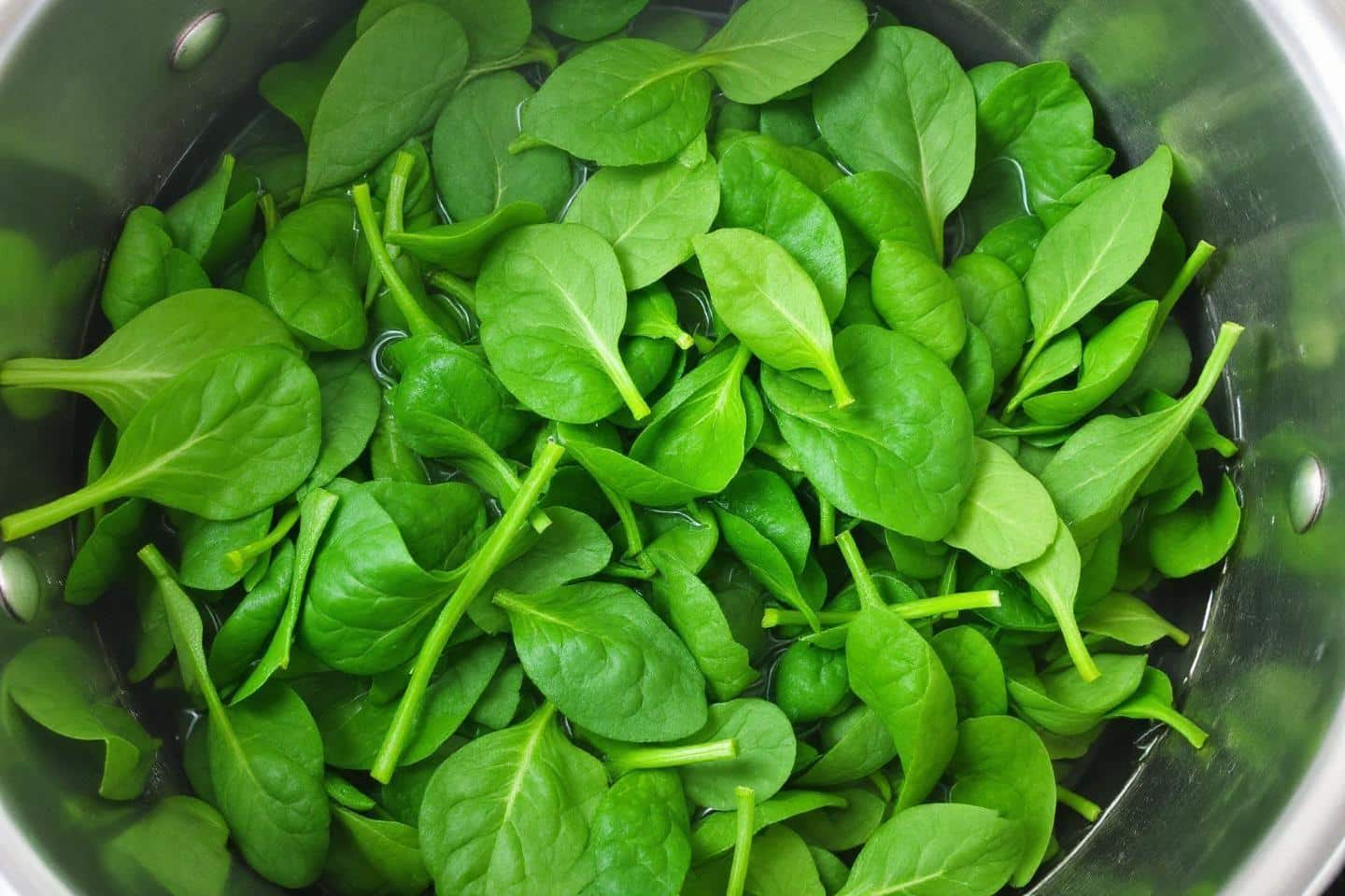 Temps de cuisson épinards frais à l’eau : Le secret pour ne pas perdre leurs nutriments